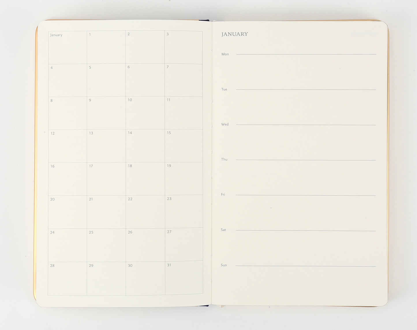 Monaco Undated Diary Personal Planner Vegan Cover (Sky Blue)